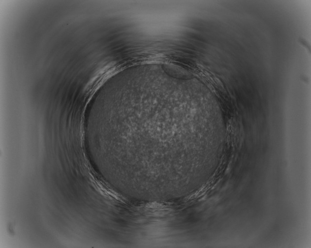 X0000097810290200803281105