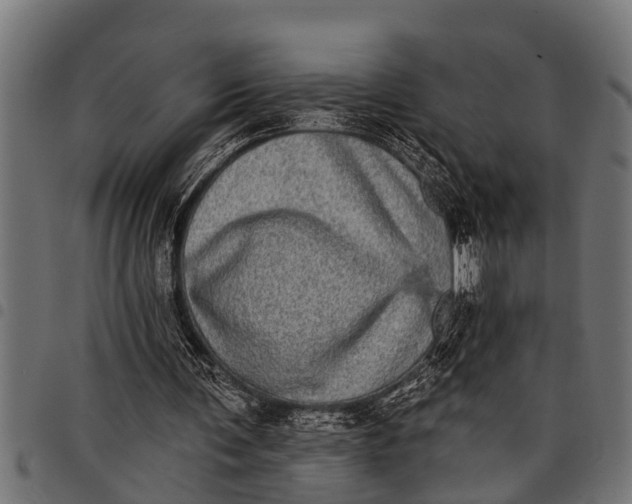 X0000097810291200803281105