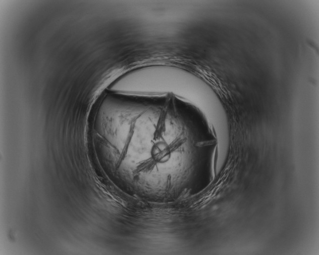 X0000097810292200803281105