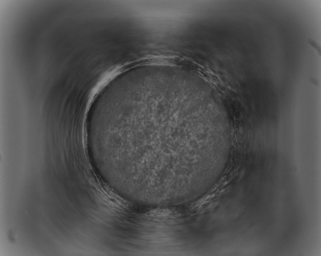 X0000097810294200803281105