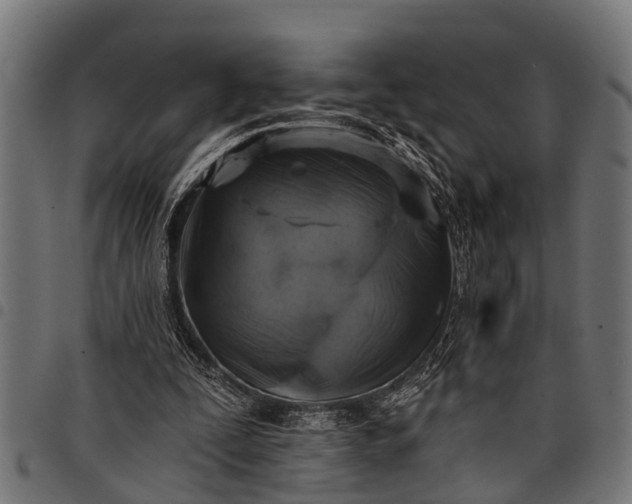 X0000097810295200803281105