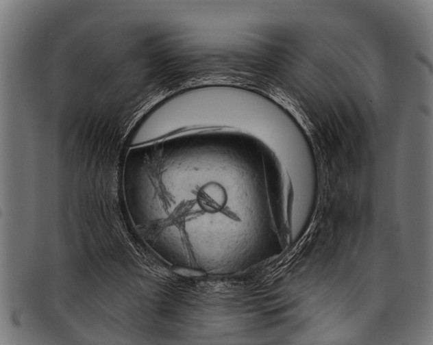 X0000097810297200803281105