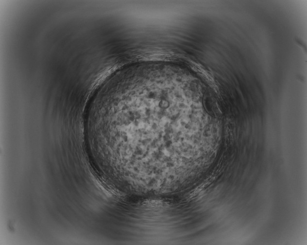 X0000097810298200803281105