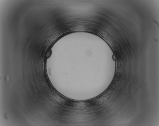 X0000097810301200803281105