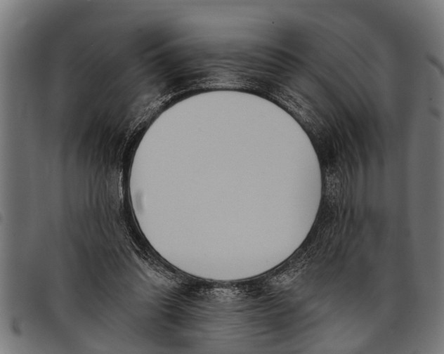 X0000097810302200803281105