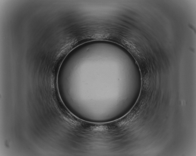 X0000097810303200803281105