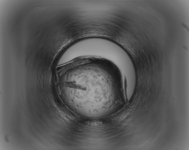 X0000097810304200803281105