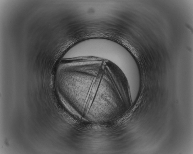 X0000097810305200803281105