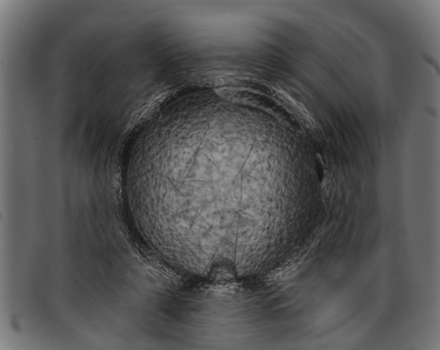 X0000097810306200803281105