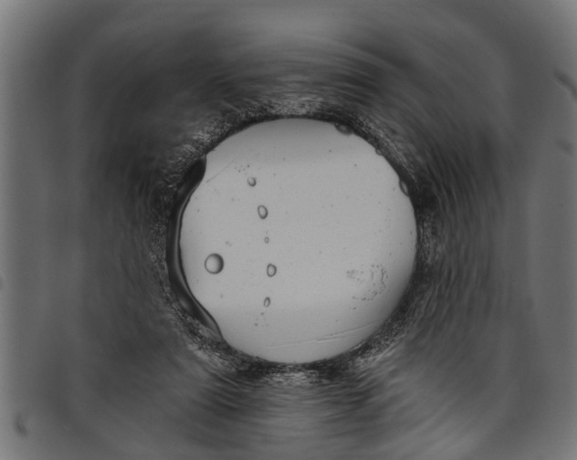 X0000097810307200803281105