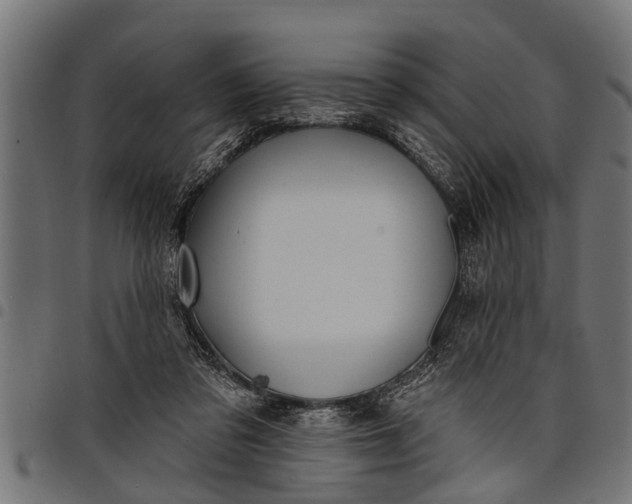 X0000097810309200803281104