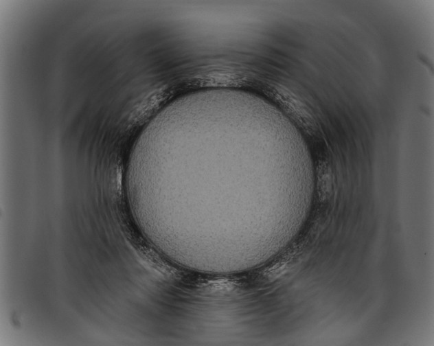 X0000097810310200803281104