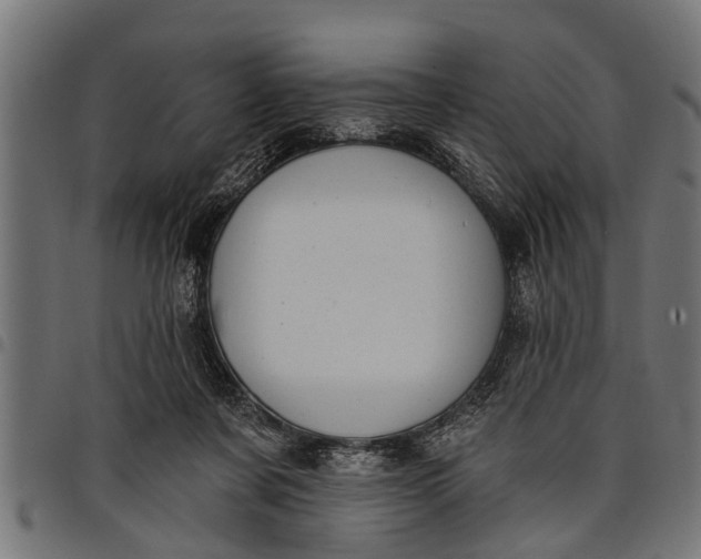 X0000097810311200803281104