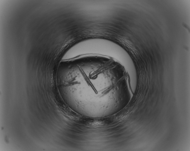 X0000097810312200803281104