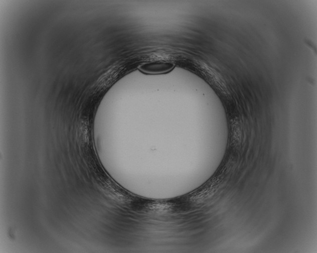 X0000097810313200803281104