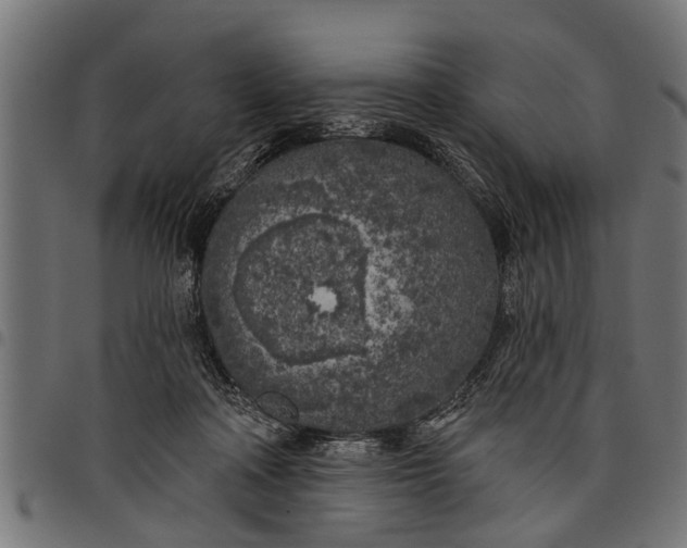 X0000097810314200803281104