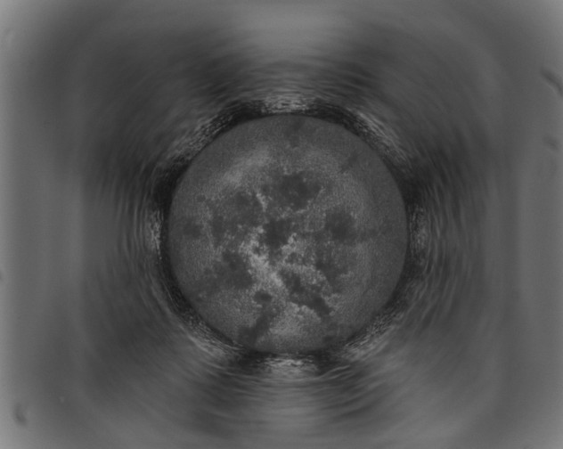 X0000097810315200803281104