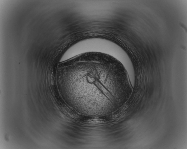 X0000097810316200803281104