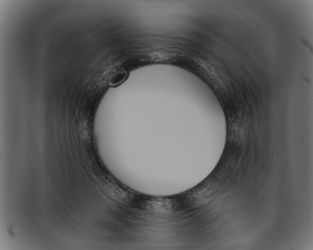 X0000097810317200803281104