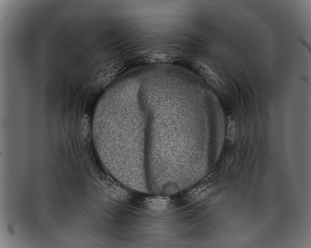 X0000097810318200803281104