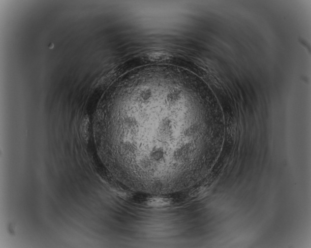 X0000097810319200803281104