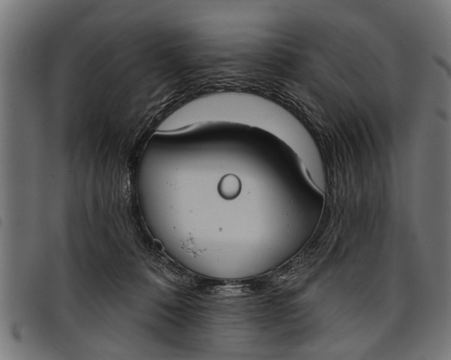 X0000097810320200803281104