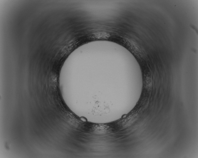 X0000097810321200803281104