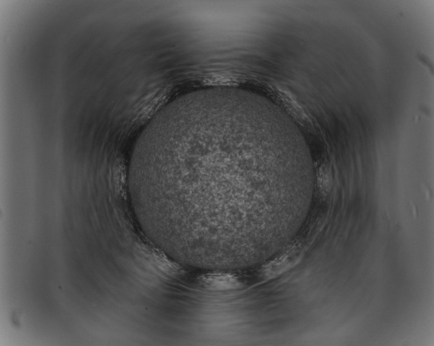 X0000097810322200803281104