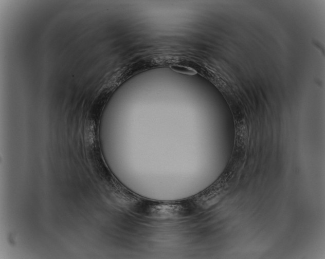 X0000097810323200803281104