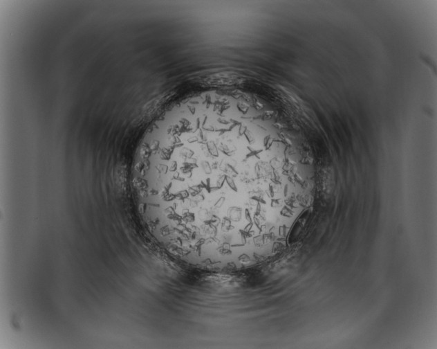 X0000097810326200803281104