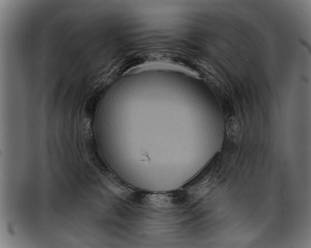 X0000097810327200803281104