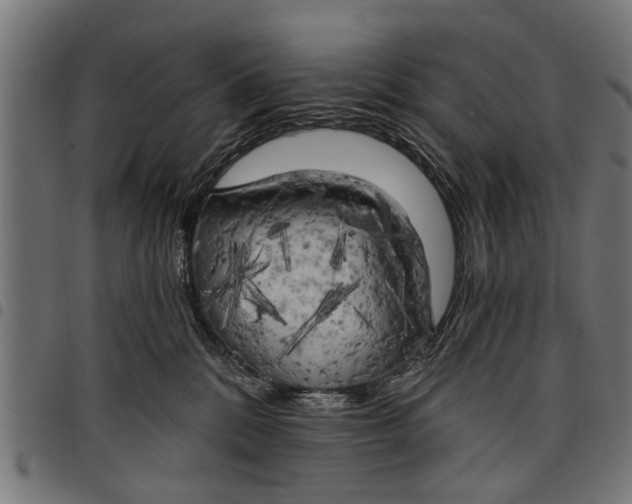 X0000097810328200803281104