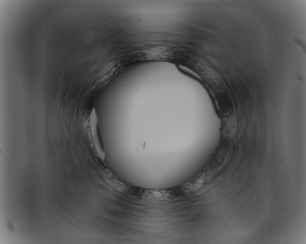 X0000097810329200803281104