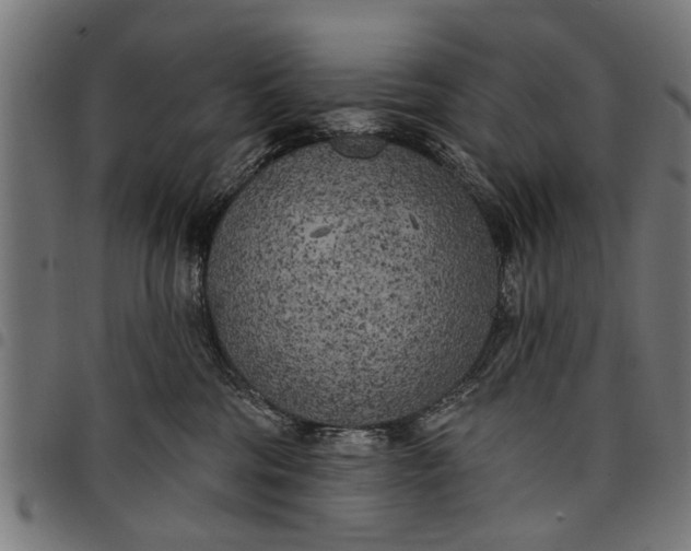 X0000097810330200803281104