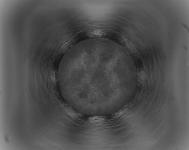 X0000097810331200803281104