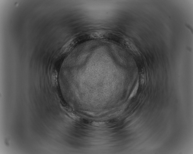 X0000097810332200803281104