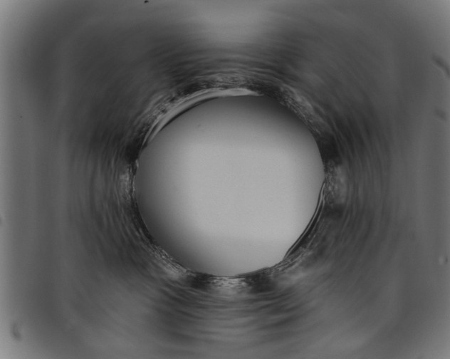 X0000097810333200803281104