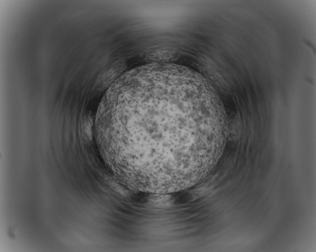 X0000097810334200803281104