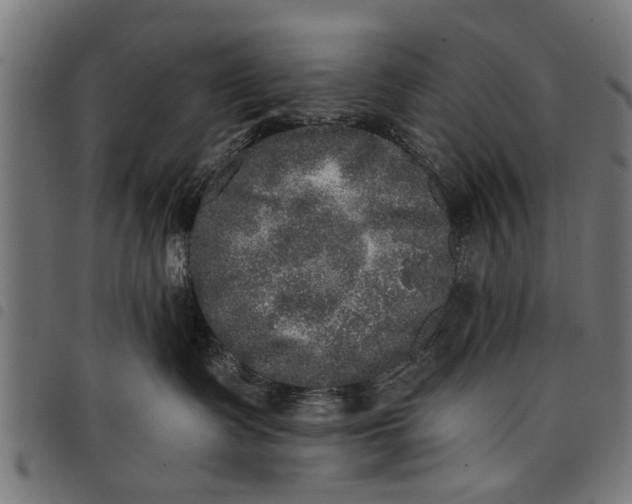 X0000097810335200803281104