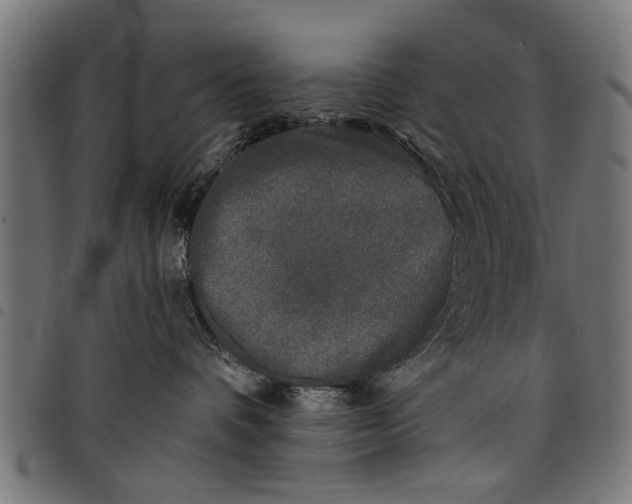 X0000097810336200803281104