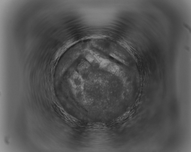 X0000097810337200803281103