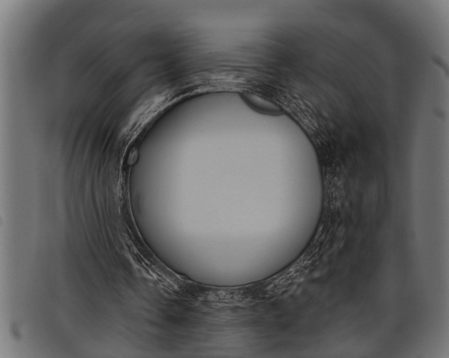 X0000097810338200803281103