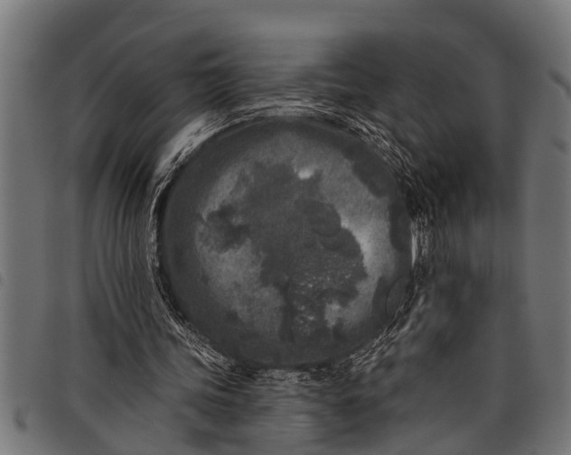 X0000097810339200803281103