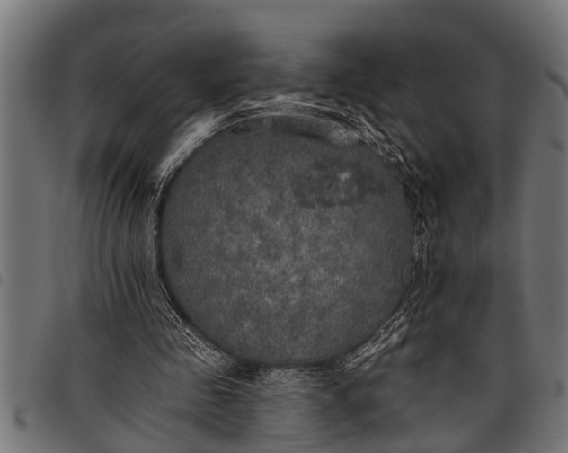 X0000097810341200803281103