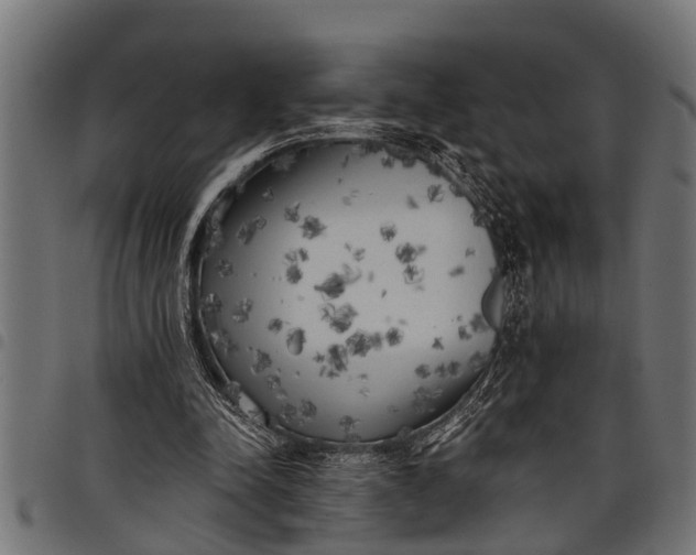 X0000097810342200803281103