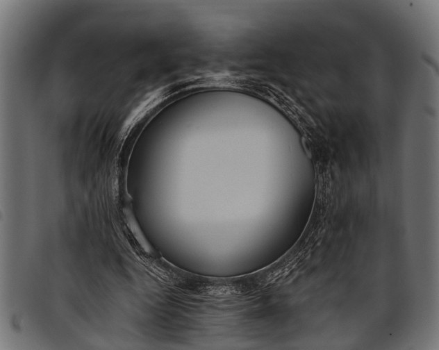 X0000097810344200803281103