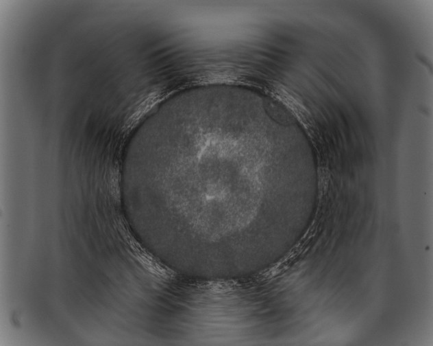 X0000097810345200803281103