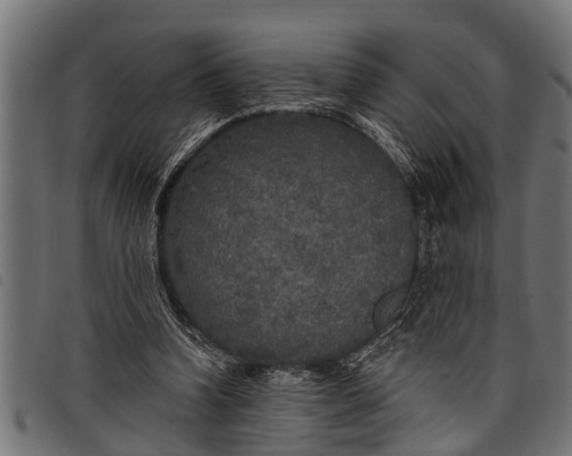 X0000097810346200803281103