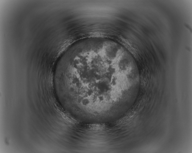 X0000097810347200803281103