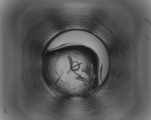 X0000097810352200803281103